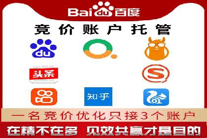 某某SEM团队成功案例：广告投放策略揭秘